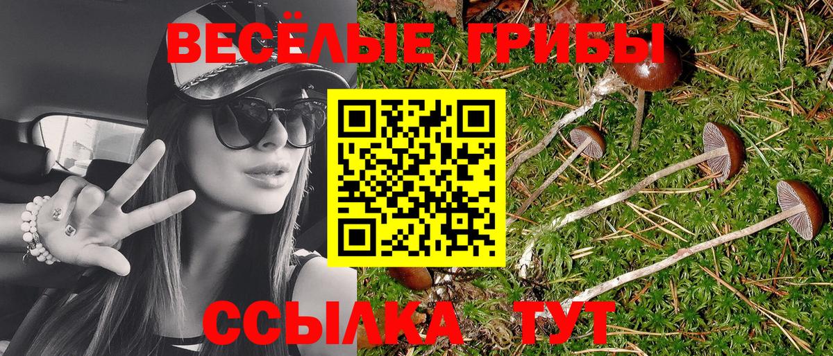 Галлюциногенные грибы мухоморы Сургут