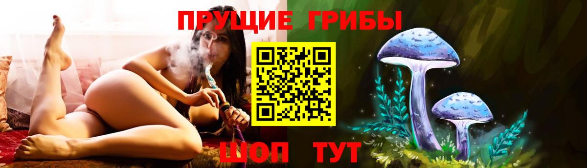Псилоцибиновые грибы Magic Shrooms  Вход с VPN  купить наркоту  Сургут 